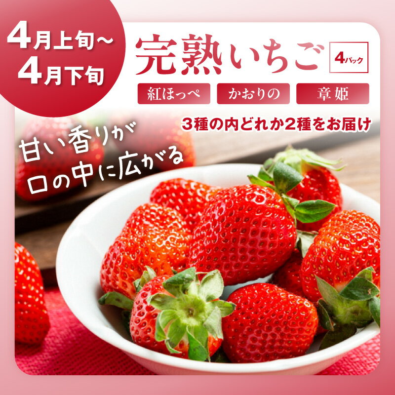 【ふるさと納税】残りわずか【先行予約／フルーツ定期便】高評価★5.0 ★ 旬の果物厳選！京丹後フルーツ王国セット（2026年4月上旬～発送）4回 6回 選べる 定期便 完熟イチゴ 小玉スイカ 桃 メロン シャインマスカット 二十世紀梨 ふるさと納税 定期便 フルーツ 果物 サムネイル3