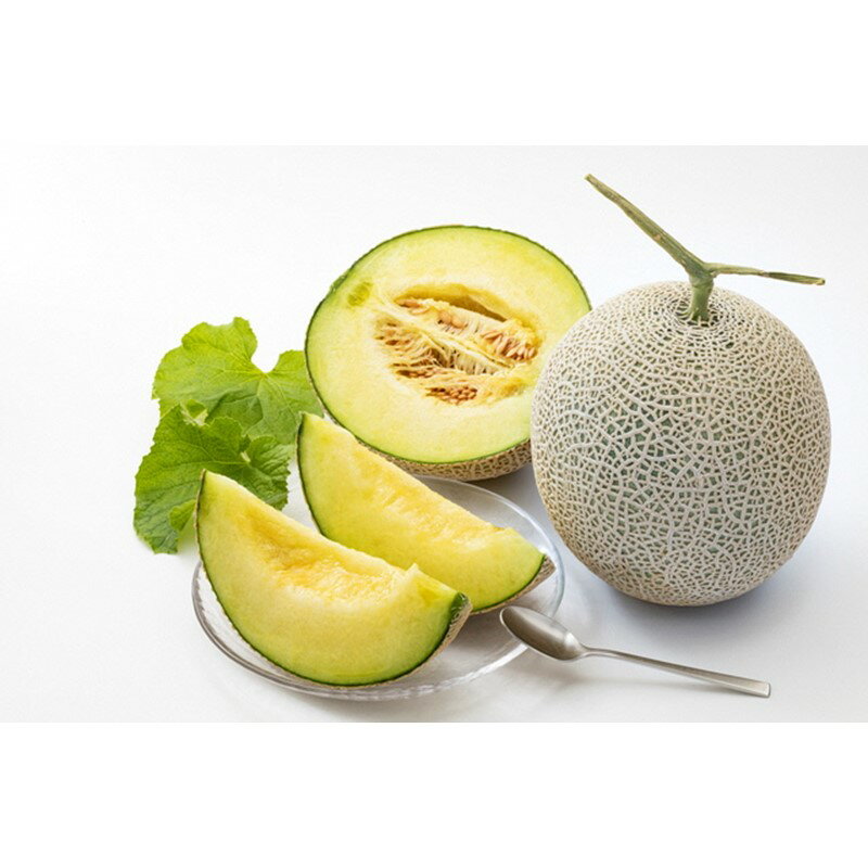 【ふるさと納税】 2026年夏発送／【先行予約】みんな大好き甘～ぃ！京丹後砂丘めろん！ 1玉 2玉 3玉（2026年7月下旬～発送）選べる 内容量 国産 果物 メロン 砂丘メロン 甘い 糖度 京都 ふるさと納税 メロン ふるさと納税 先行予約 期間限定 ふるさと納税 フルーツ サムネイル2