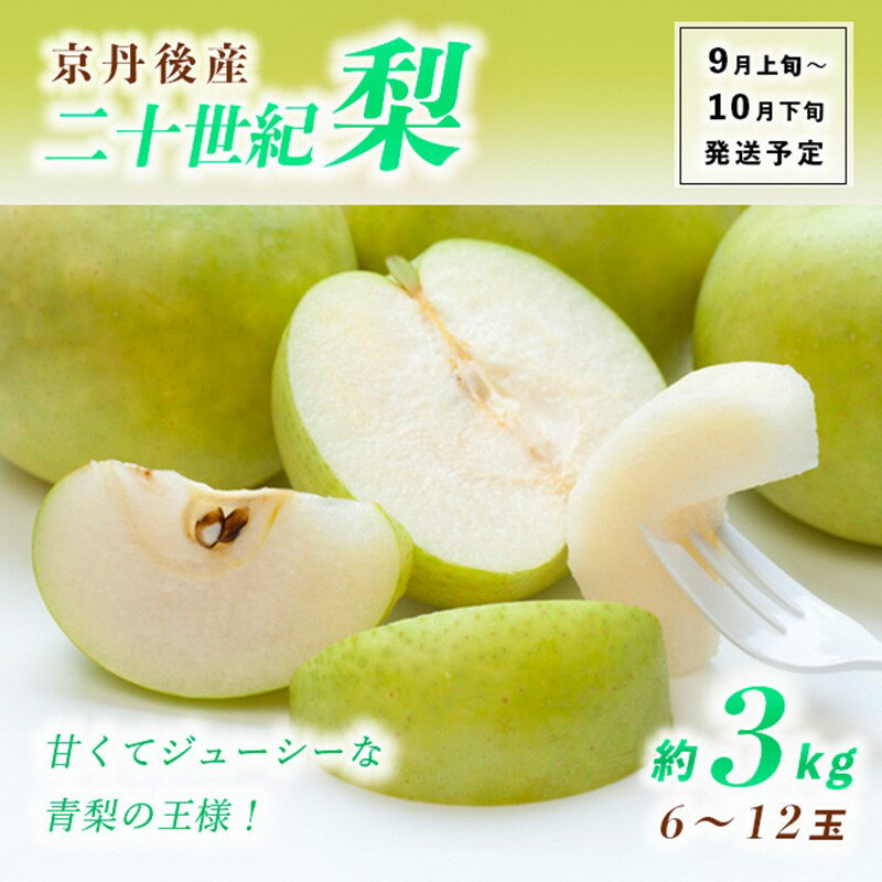 2026秋発送【先行予約】甘～ぃ！ジューシー！！青梨の王様 京丹後産 二十世紀梨 3kg 5kg（2026年9月上旬～発送）選べる 内容量 国産 期間限定 デザート ふるさと納税 梨 なし ふるさと納税 期間限定 ふるさと納税 フルーツ 果物 農家直送