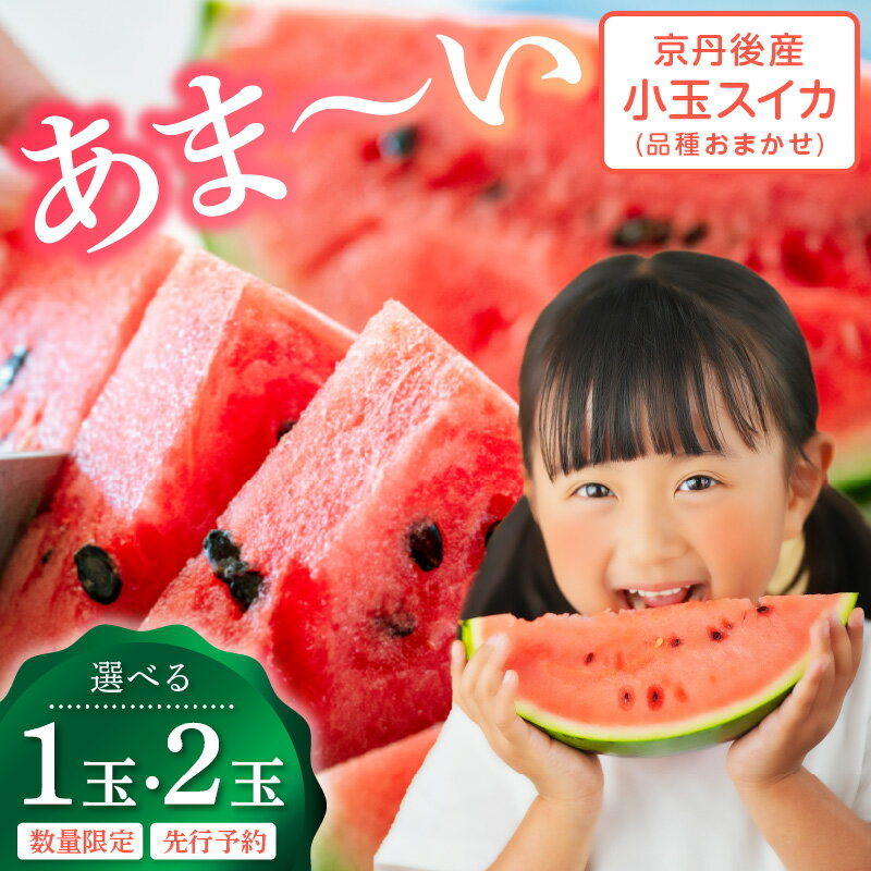 2026年夏発送【先行予約】みんな大好き！甘〜ぃ！シャリ美味！！京丹後産小玉スイカ！！1玉 2玉 選べる 個数（ひとりじめ、姫甘泉、ひめまくら、砂丘たまごから1種類）（2026年7月上旬〜発送） ふるさと納税 スイカ ふるさと納税 フルーツ ふるーつ 甘い