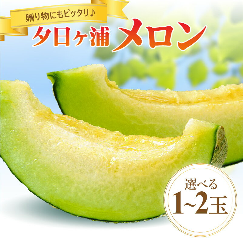 2026夏発送／高評価★5.0 高レビュー★【先行予約／数量限定】夕日ヶ浦メロン 1玉 2玉（2026年7月中旬～発送） 国産 高級メロン めろん 贈答品 贈り物 ふるさと 納税 メロン 青肉 ふるさと 納税 先行予約 ふるさと 納税 フルーツ くだもの 果物 JA京都