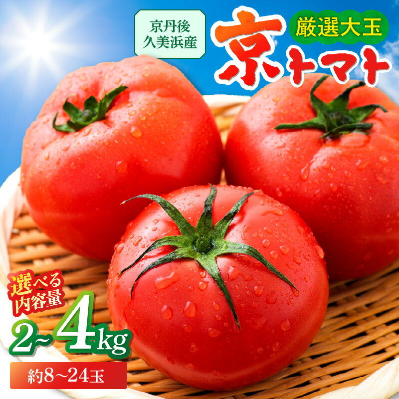 高評価★5.0【先行予約】京都・京丹後産 京トマト 2kg (8～10玉) 4kg (12～24玉) 春夏発送（2026年5月中旬～発送）選べる 内容量 夏野菜 野菜 トマト 大玉 2きろ 4きろ 高糖度 濃厚 甘い 美味しい 完熟 とまと ふるさと納税 トマト JA京都 農協