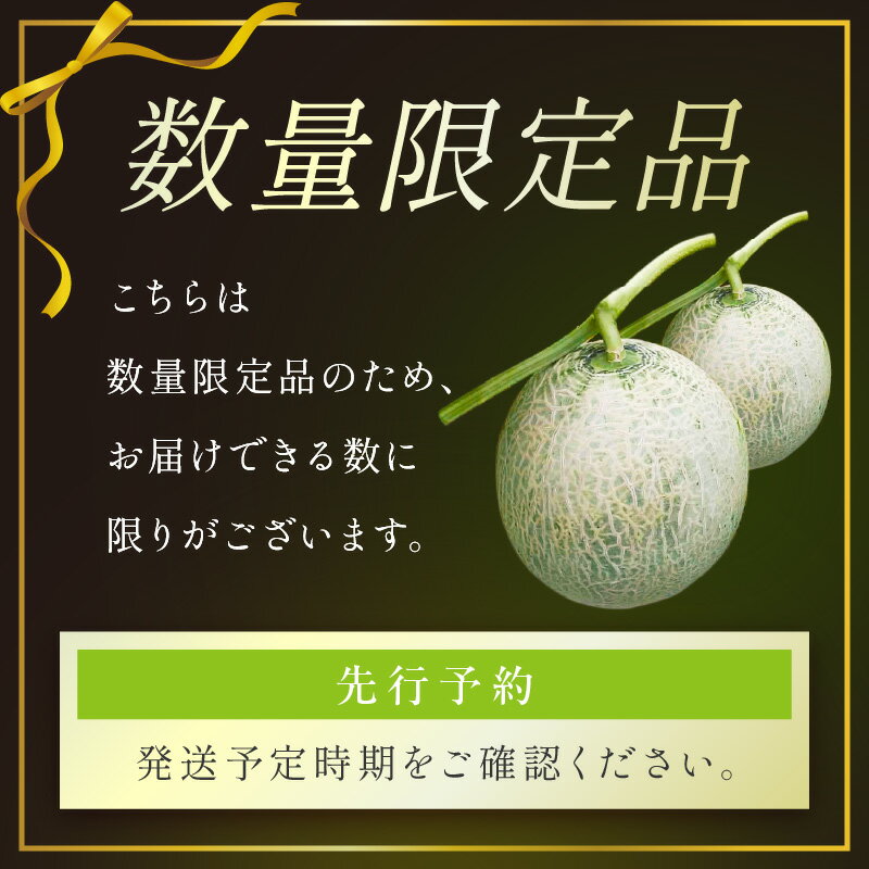 【ふるさと納税】2026夏発送／高評価★5.0 高レビュー★【先行予約／数量限定】夕日ヶ浦メロン 1玉 2玉（2026年7月中旬～発送） 国産 高級メロン めろん 贈答品 贈り物 ふるさと 納税 メロン 青肉 ふるさと 納税 先行予約 ふるさと 納税 フルーツ くだもの 果物 JA京都 - 画像3