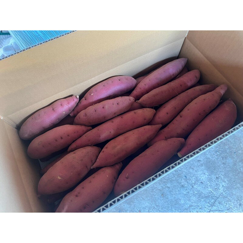 【ふるさと納税】【先行予約／数量限定】京丹後産 土付き 紅はるか（さつまいも） 5kg（2026年11月上旬～発送） さつま芋 薩摩芋 甘藷 サツマイモ さつまいも 紅はるか べにはるか ベニハルカ 国産 5キロ 農家応援 生産者応援 送料無料 - 画像2