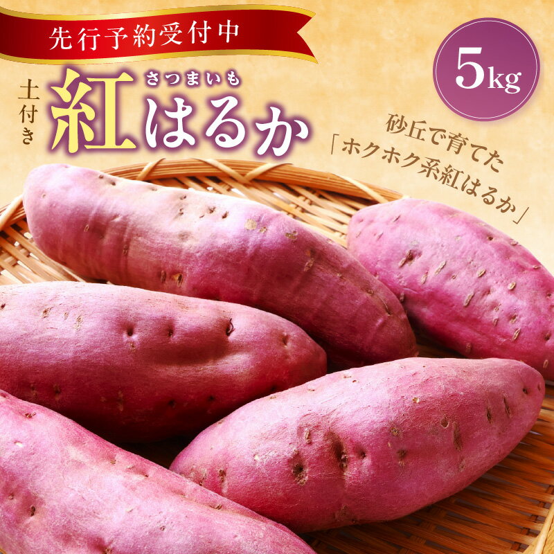 【先行予約／数量限定】京丹後産 土付き 紅はるか（さつまいも） 5kg（2026年11月上旬～発送） さつま芋 薩摩芋 甘藷 サツマイモ さつまいも 紅はるか べにはるか ベニハルカ 国産 5キロ 農家応援 生産者応援 送料無料