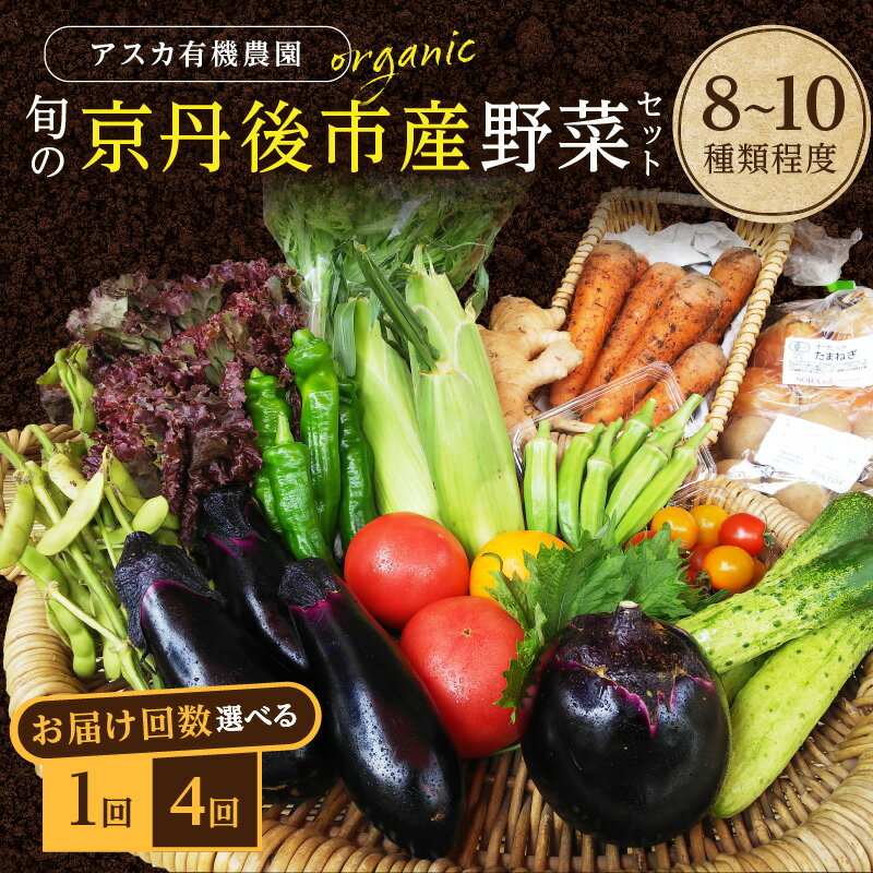 ＜アスカ有機農園＞旬の京丹後野菜セットS（栽培期間中　農薬・化学肥料不使用） 1回 4回 6回 12回 定期便 回数 選べる 野菜 京野菜 旬野菜 旬 セット 詰め合わせ 新鮮 京都府 京丹後市 ふるさと納税 野菜 生産者応援 農家応援 送料無料