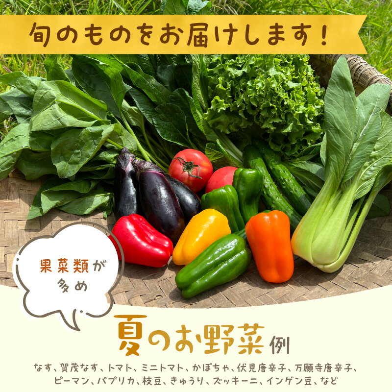 【ふるさと納税】有機野菜・京野菜の『京都やおよし』のお野菜詰め合わせ お野菜 お野菜+米2kg お野菜+平飼玉子10個 お野菜+牛乳200ml お野菜+牛乳900ml 通常便(1回) 4回定期便 6回定期便 12回定期便 選べる 米 野菜 お野菜 京野菜 玉子 牛乳 詰め合わせ セット 定期便 - 画像3