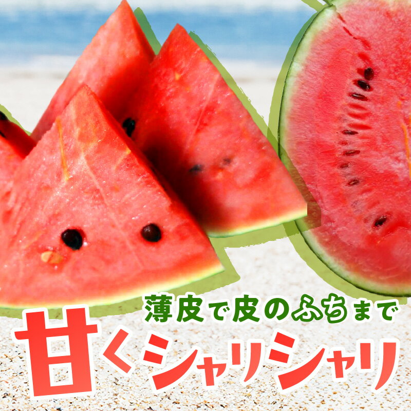 【ふるさと納税】訳あり／2026年夏先行予約【限定200】にしまるスイカ 訳あり （露地栽培）（2026年7月中旬から発送）1玉 2玉 選べる フルーツ 果物 数量限定 にしまる 小玉 甘い ジューシー 京都 ふるさと納税 すいか 2玉 1玉 サムネイル2