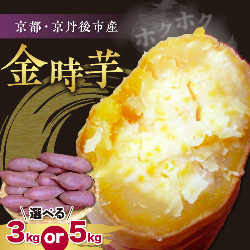【先行予約】京都京丹後産さつまいも 土付き 金時芋 選べる 内容量 3kg 5kg（2026年12月上旬～発送） 芋 国産 京丹後産 サツマイモ 薩摩芋 サツマ芋 さつま芋 きんとき 3キロ 5キロ ふるさと納税 先行予約 ふるさと納税 さつまいも 焼き芋 焼きいも やきいも
