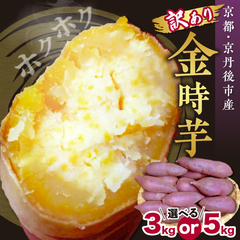 【先行予約】訳あり 京都京丹後産さつまいも 金時芋 選べる 内容量 3kg 5kg（2026年12月上旬～発送） 芋 国産 京丹後産 サツマイモ 薩摩芋 サツマ芋 さつま芋 きんとき 3キロ 5キロ 訳あり ふるさと納税 先行予約 ふるさと納税 さつまいも 送料無料