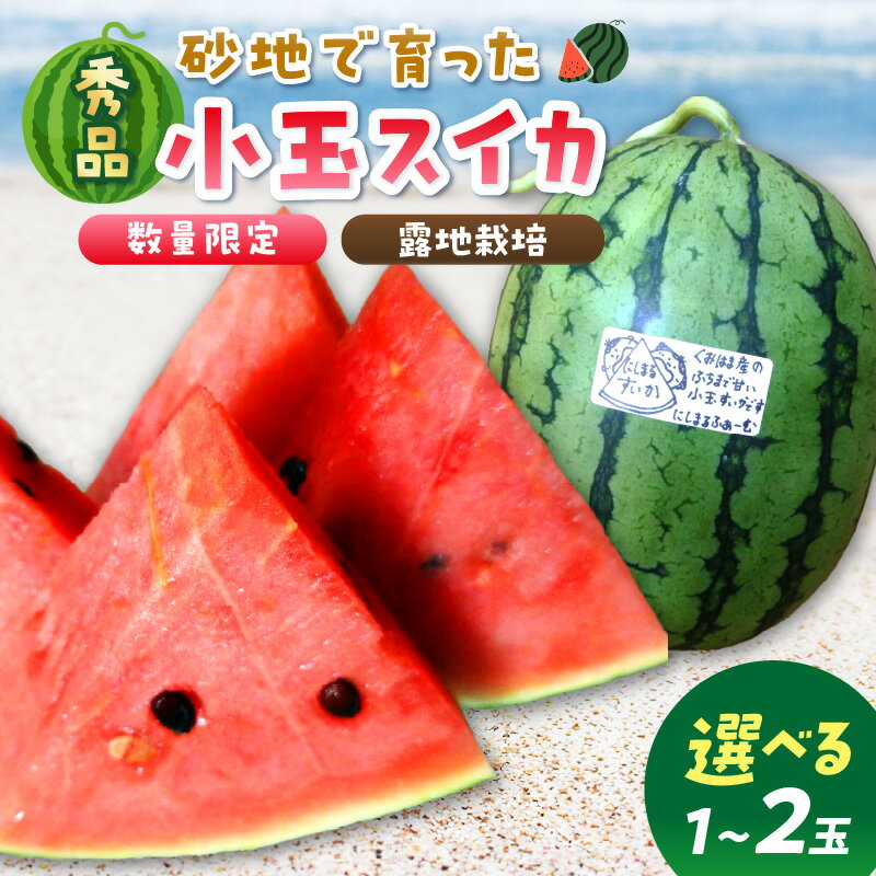 高評価★4.5 高レビュー★【先行予約／数量限定200】にしまるスイカ 秀品（露地栽培）（2026年7月中旬から発送）1玉 2玉 選べる フルーツ 果物 数量限定 にしまる 小玉 甘い ジューシー 京都 ふるさと納税 すいか