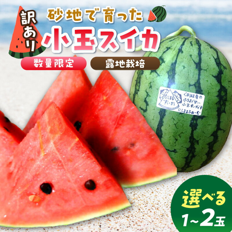 訳あり／2026年夏先行予約【限定200】にしまるスイカ 訳あり （露地栽培）（2026年7月中旬から発送）1玉 2玉 選べる フルーツ 果物 数量限定 にしまる 小玉 甘い ジューシー 京都 ふるさと納税 すいか 2玉 1玉