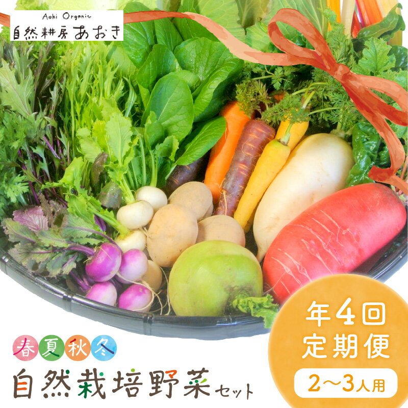 濃い野菜【年4回定期便】春夏秋冬 自然栽培野菜セット (年4回) 2～3人用　ふるさと納税 野菜 自然栽培 季節 定期便 旬野菜 定期便 4回 旬野菜 詰め合わせ 百貨店 ホテル 栽培期間中 農薬 京都 産地直送 野菜セット おすすめ 美味しい