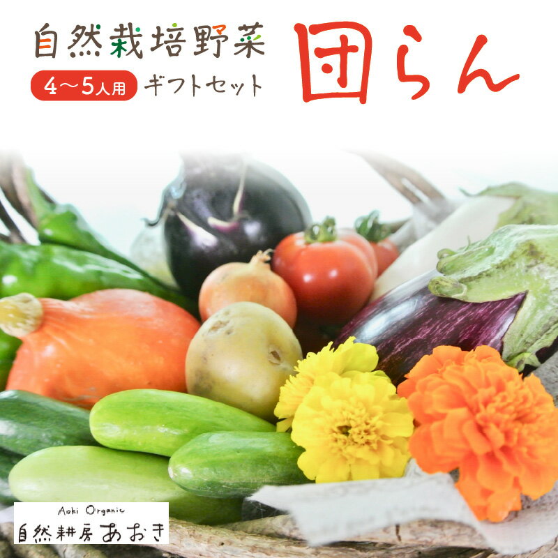 【数量限定】自然栽培野菜セット（団らん）10〜12種 4〜5人用 ふるさと納税 野菜 自然栽培 旬野菜 季節 セット 詰め合わせ 百貨店 ホテル 栽培期間中 農薬 化学肥料 京都 産地直送 やさい 野菜セット おまかせ おすすめ 美味しい 自然 色鮮やか 甘み