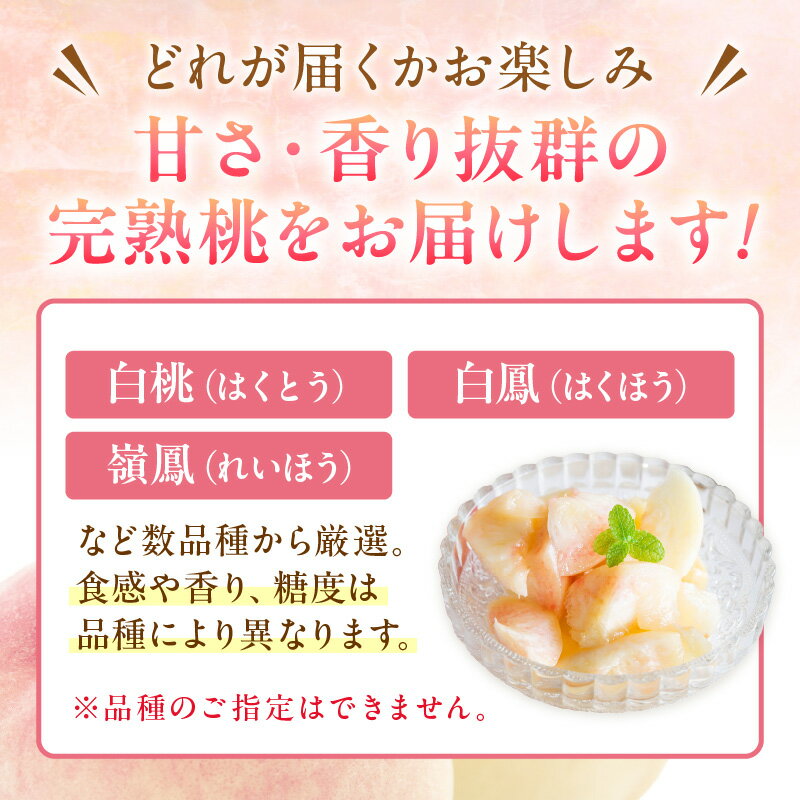 【ふるさと納税】2026夏発送【先行予約】京丹後産 桃 2kg（6～12玉）（2026年7月下旬～発送）フルーツ 果物 白桃 白鳳 嶺鳳 国産 くだもの モモ 甘い 2キロ 糖度 国産 京都 ふるさと 納税 もも ふるさと 納税 桃 ふるさと 納税 フルーツ ふるさと 納税 先行予約 期間限定 サムネイル2