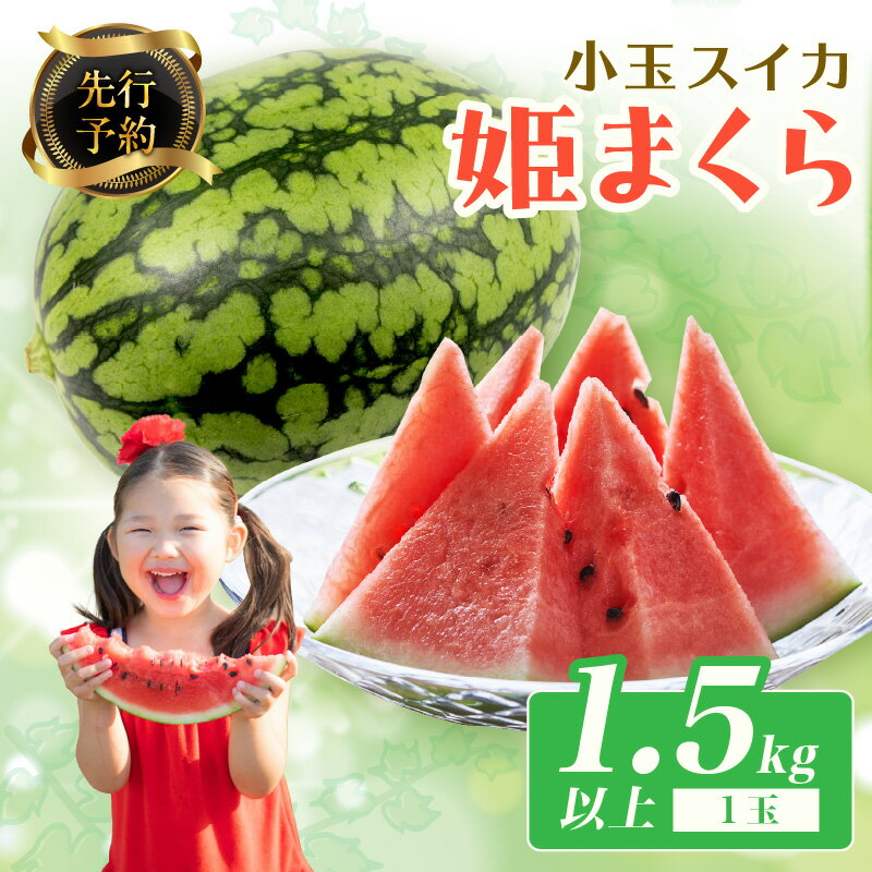 2026夏発送【先行予約】小玉スイカ 姫まくら 1玉（1.5kg以上）（2026年7月上旬～発送）　果物 くだもの すいか スイカ 西瓜 甘い ふるさと納税 スイカ ふるさと納税 フルーツ ふるーつ 農家直送 果樹園直送 生産者応援 農家応援 送料無料