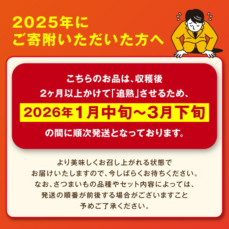 【ふるさと納税】受賞芋食べ比べ／TVで紹介！さつまいもオブザイヤー受賞 竹田農園 の 日本一 のさつまいも 食べ比べ 2種 土付き 選べる 品種 内容量 紅はるか ふくむらさき 3kg 5kg 10kg 京都 丹後 ふるさと納税 さつまいも サツマイモ ふるさと納税 野菜 - 画像2