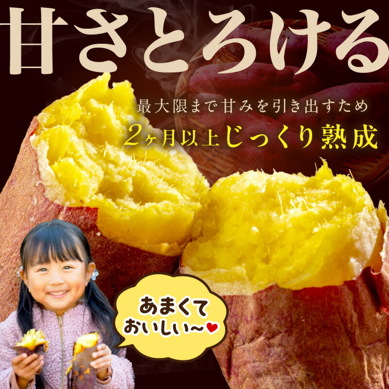 【ふるさと納税】受賞芋食べ比べ／高評価★4.64 TVで紹介！さつまいもオブザイヤー受賞 竹田農園 の 日本一 のさつまいも 食べ比べ 2種 土付き 選べる 品種 内容量 紅はるか ふくむらさき 3kg 5kg 10kg 京都 丹後 ふるさと納税 さつまいも サツマイモ ふるさと納税 野菜 サムネイル3