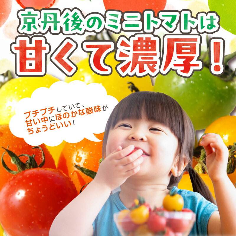 【ふるさと納税】【先行予約】訳あり 宝石のような輝き！カラフルミニトマト 約1.5kg（秋冬）（2026年10月上旬～発送）【2回定期便】（2026年5月下旬～発送） とまと みにとまと 甘い サラダ 色とりどり 生産者応援 農家応援 送料無料 - 画像2