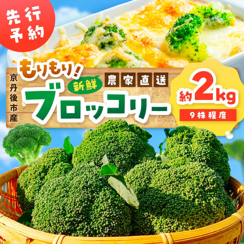 ＼農家直送 ブロッコリー／【先行予約】もりもり！ブロッコリー 約2kg（2026年11月上旬～発送）9株程度 冷蔵 農家直送 ぶろっこりー 野菜 京野菜 新鮮 生産者応援 農家応援 送料無料 ふるさと納税 ブロッコリー