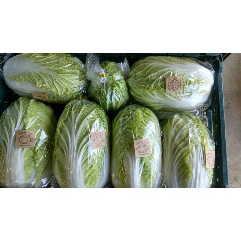 【ふるさと納税】【先行予約】京丹後冬鍋野菜セット（2026年11月上旬～発送） 鍋セット 1〜2人前 野菜 やさい 京野菜 鍋 せっと 生産者応援 農家応援 送料無料 - 画像2