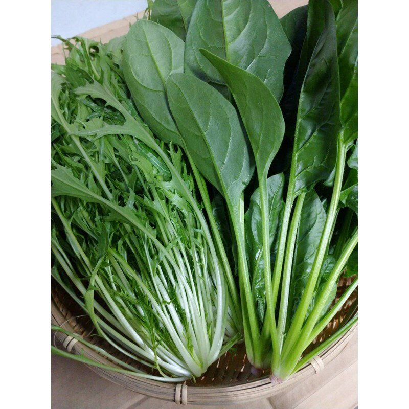 【ふるさと納税】【先行予約】京丹後冬鍋野菜セット（2026年11月上旬～発送） 鍋セット 1〜2人前 野菜 やさい 京野菜 鍋 せっと 生産者応援 農家応援 送料無料 - 画像3