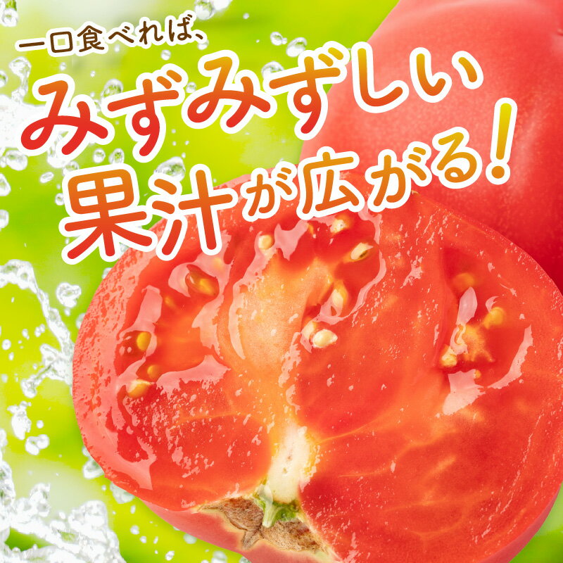 【ふるさと納税】【先行予約】京丹後産 大玉トマト 1kg以上 春夏（2026年5月中旬～発送） トマト 大玉 大玉トマト ふるさと納税 野菜 お野菜 1kg 野菜 京野菜 生産者応援 農家応援 送料無料 - 画像3