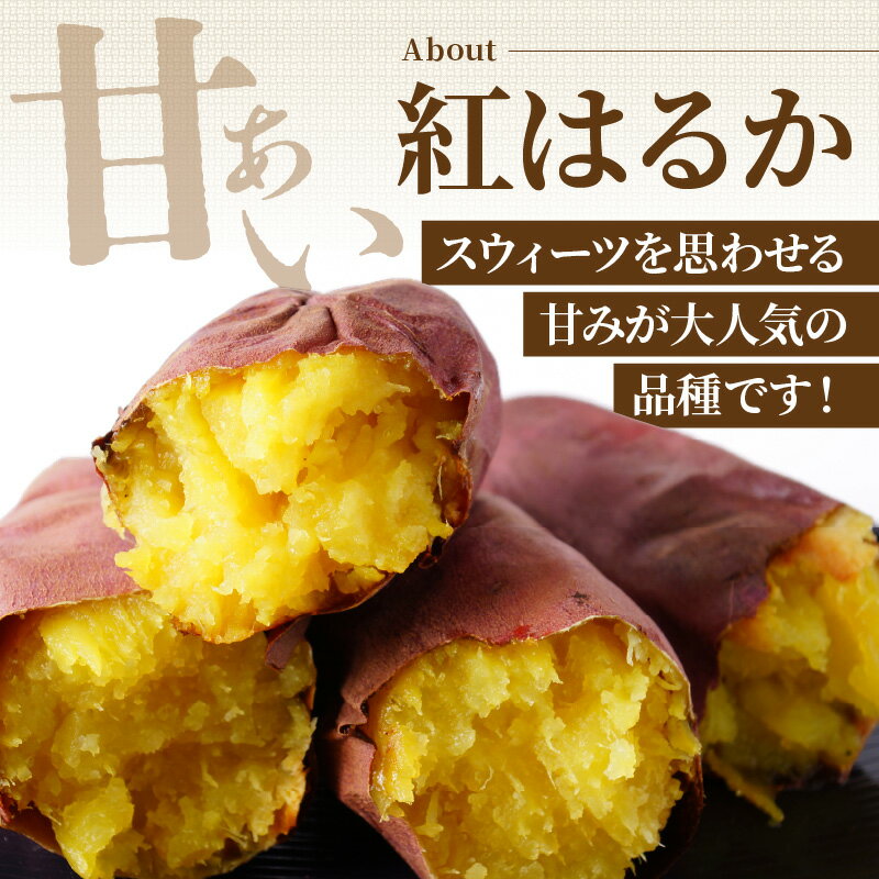 【ふるさと納税】【先行予約】ホクホク美味しい！京丹後産 紅はるか 約1.5kg（土付き）（2026年10月上旬～発送） さつまいも サツマイモ 紅はるか ふるさと納税 さつまいも 芋 さつま芋 お芋 産地直送 国産 野菜 京都府 京丹後市 生産者応援 農家応援 - 画像3