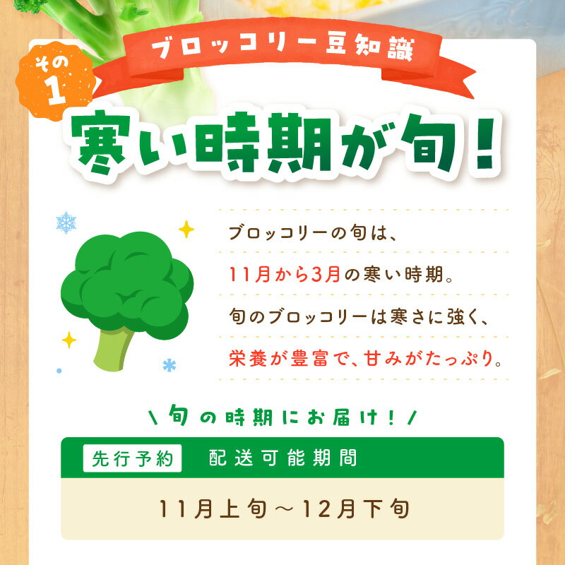 【ふるさと納税】＼農家直送 ブロッコリー／【先行予約】もりもり！ブロッコリー 約2kg（2026年11月上旬～発送）9株程度 冷蔵 農家直送 ぶろっこりー 野菜 京野菜 新鮮 生産者応援 農家応援 送料無料 ふるさと納税 ブロッコリー - 画像3