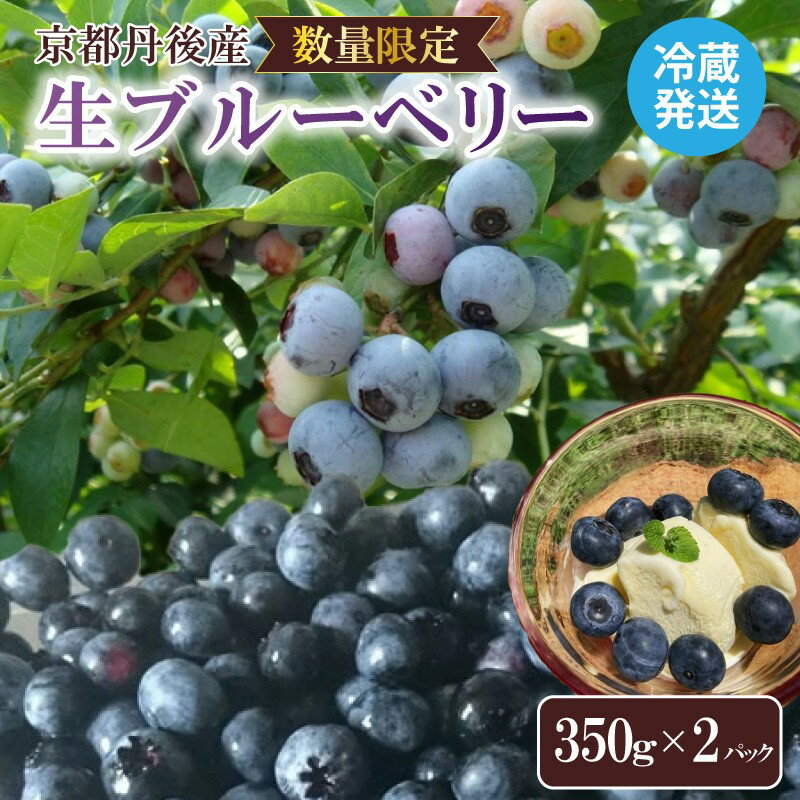 【先行予約／数量限定80】国産 京都丹後ブルーベリー 350g×2パック（2026年7月上旬～発送） 生 ぶるーべりー 果物 完熟 2パック 期間限定 国産 ふるさと納税 フルーツ 農薬不使用 大粒 完熟 期間限定 2026年産 令和8年産 農家応援 送料無料