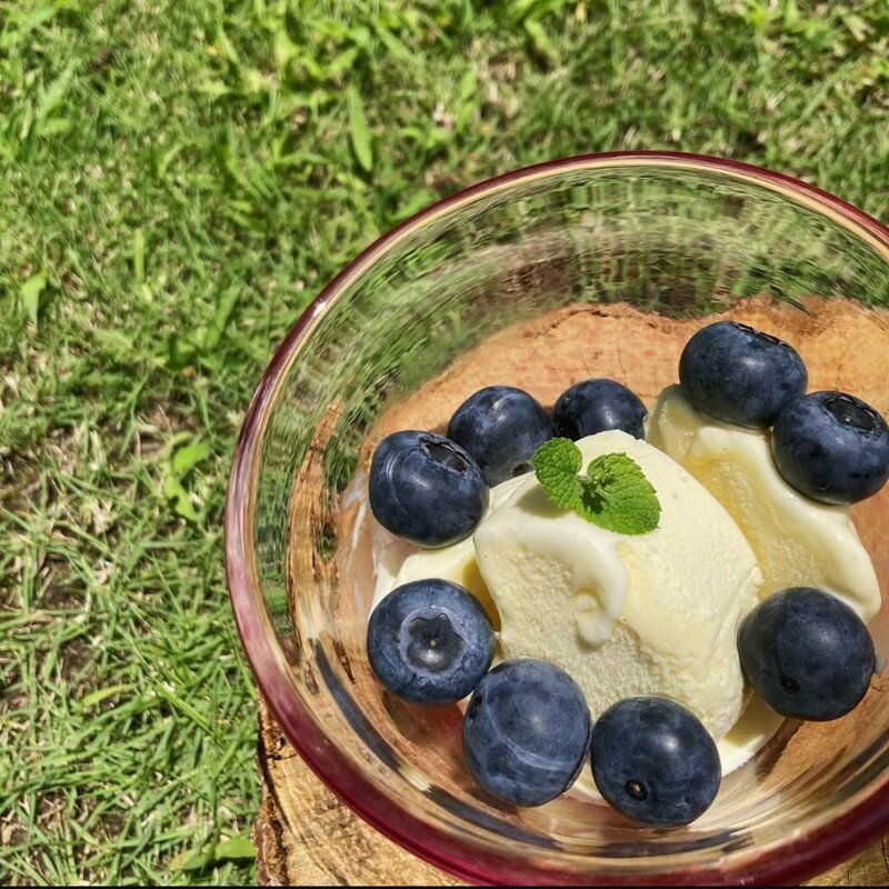 【ふるさと納税】 【先行予約／数量限定80】国産 京都丹後ブルーベリー 350g×2パック（2026年7月上旬～発送） 生 ぶるーべりー 果物 完熟 2パック 期間限定 国産 ふるさと納税 フルーツ 農薬不使用 大粒 完熟 期間限定 2026年産 令和8年産 農家応援 送料無料 サムネイル3