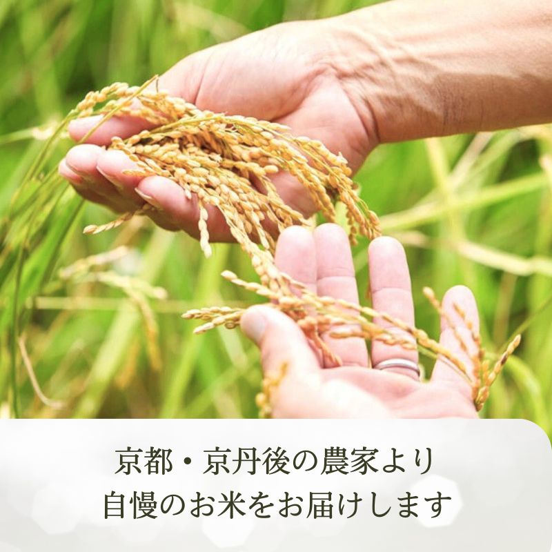 【ふるさと納税】玄米【京都の家族経営農家直送】 高評価★5.0 高レビュー★ 2026年産 丹後弥栄産コシヒカリ 玄米 5kg 10kg 定期便 1回 6回　選べる 内容量 定期便 ふるさと納税 お米 米 玄米 コシヒカリ 定期便 農家直送 丹後こしひかり ふるさと納税 玄米 - 画像2