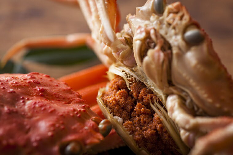 【ふるさと納税】先行予約開始／高評価★4.82【蟹の匠 魚政】内子外子が美味! 茹でたて セイコガニ (セコ蟹) (香箱ガニ) (こっぺ) 選べる 内容量 サイズ 5匹セット 10匹セット 小サイズ～特大サイズ カニ 蟹 セイコ蟹 セコガニ 香箱ガニ コッペガニ ボイル サムネイル2