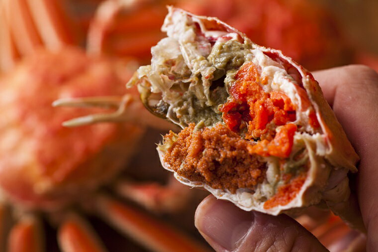 【ふるさと納税】先行予約開始／高評価★4.82【蟹の匠 魚政】内子外子が美味! 茹でたて セイコガニ (セコ蟹) (香箱ガニ) (こっぺ) 選べる 内容量 サイズ 5匹セット 10匹セット 小サイズ～特大サイズ カニ 蟹 セイコ蟹 セコガニ 香箱ガニ コッペガニ ボイル サムネイル3