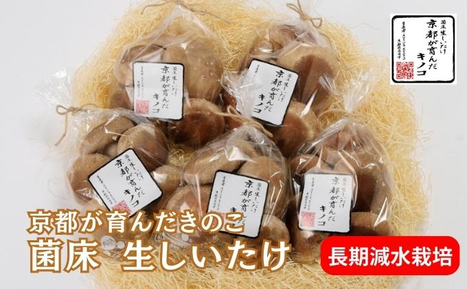 【ふるさと納税】しいたけ 京都が育んだきのこ 長期減水栽培 菌床 生しいたけ 特大サイズ 200g 5袋 椎茸 シイタケ きのこ キノコ 野菜 京都 - 画像2