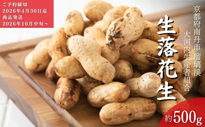 【ふるさと納税】落花生 京都 2026年 先行予約 生落花生 るり渓 大河内生産組合発 丹波 野菜 国産 ピーナッツ おつまみ 先行 ※北海道・沖縄・離島への発送不可 　お届け：※2026年10月中旬より発送いたします - 画像2