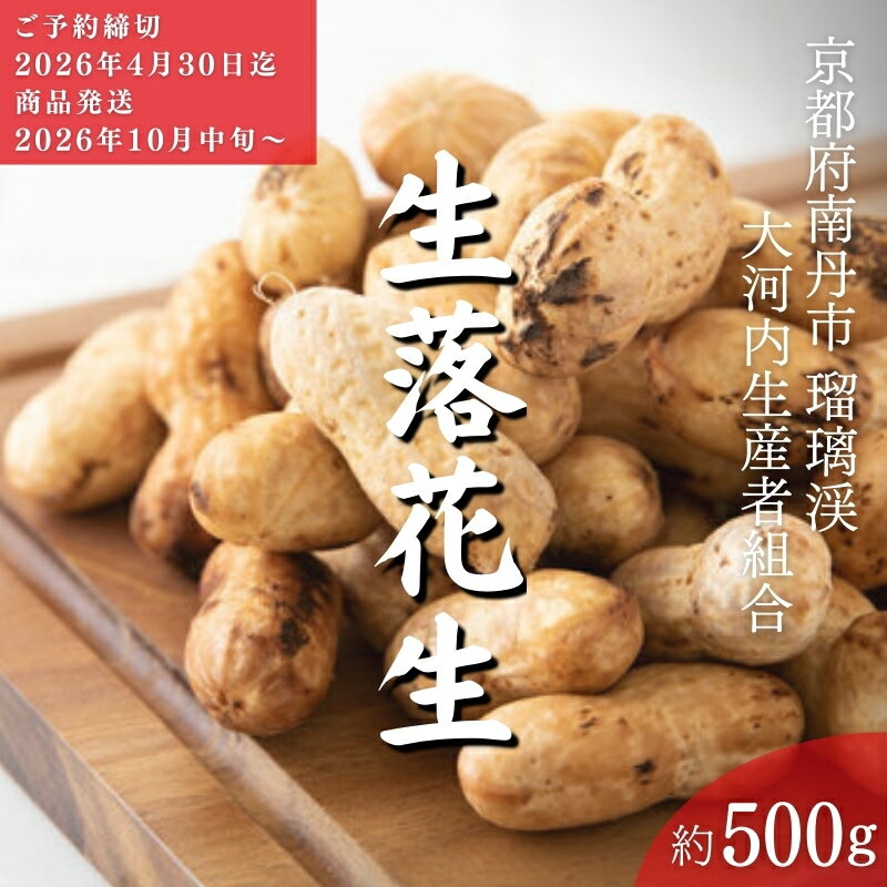 落花生 京都 2026年 先行予約 生落花生 るり渓 大河内生産組合発 丹波 野菜 国産 ピーナッツ おつまみ 先行 ※北海道・沖縄・離島への発送不可 　お届け：※2026年10月中旬より発送いたします