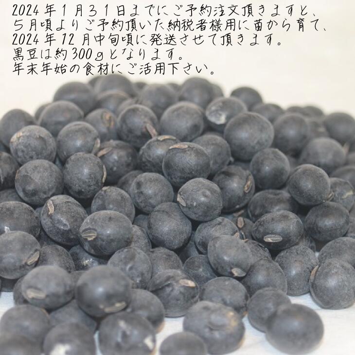 【ふるさと納税】黒豆 京都 2026年 先行予約 丹波の黒豆 約300g るり渓 大河内生産組合発 丹波 野菜 国産 おやつ スイーツ 正月 おせち料理 おせち 先行 ※北海道・沖縄・離島への発送不可 　お届け：※2026年12月中旬より発送いたします - 画像3
