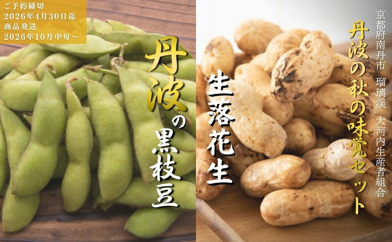 【ふるさと納税】枝豆 京都 2026年 先行予約 黒枝豆 生落花生 るり渓 大河内生産組合発 丹波 野菜 国産 生 落花生 おつまみ えだまめ エダマメ 先行 ※北海道・沖縄・離島への発送不可 　お届け：※2026年10月中旬より発送いたします - 画像2