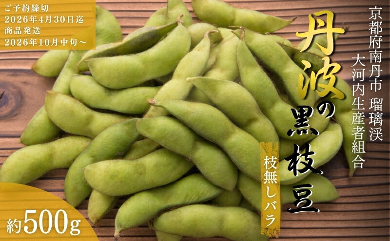【ふるさと納税】枝豆 京都 2026年 先行予約 丹波黒枝豆 バラ 約500g るり渓 大河内生産組合発 丹波 野菜 国産 生 黒枝豆 おつまみ えだまめ エダマメ 先行 ※北海道・沖縄・離島への発送不可 　お届け：※2026年10月中旬より発送いたします - 画像2