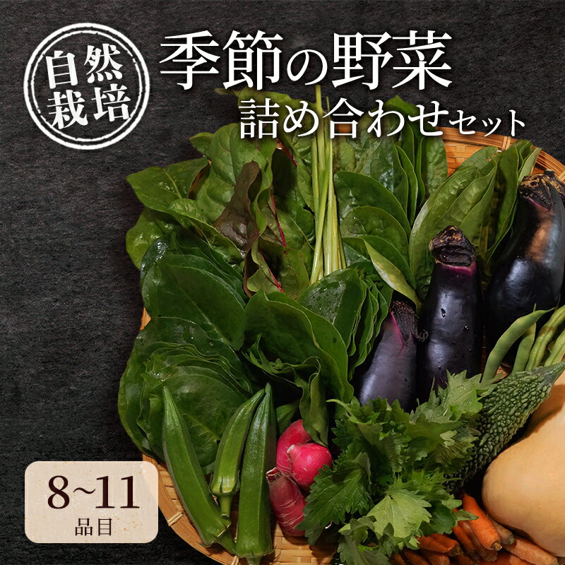 【ふるさと納税】自然栽培・季節の野菜詰め合わせセット 旬 新鮮 採れたて 栽培期間中 無農薬 無化学肥料 安心安全 自然派 産地直送 やさい 詰め合わせ 京都府 南丹市 - 画像2
