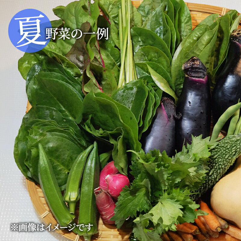 【ふるさと納税】自然栽培・季節の野菜詰め合わせセット 旬 新鮮 採れたて 栽培期間中 無農薬 無化学肥料 安心安全 自然派 産地直送 やさい 詰め合わせ 京都府 南丹市 - 画像3