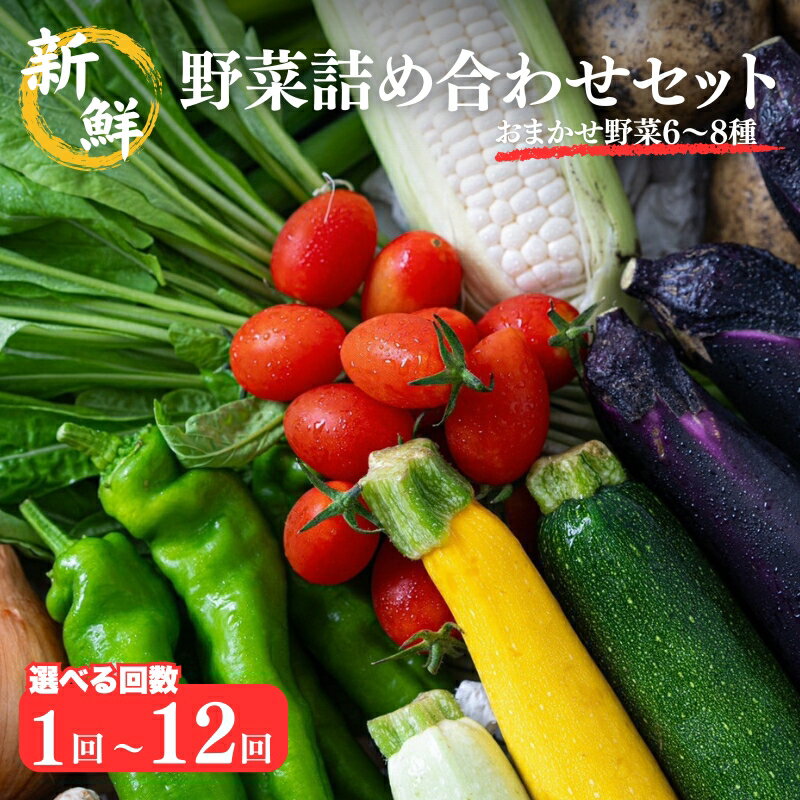 新鮮 野菜 詰め合わせ セット