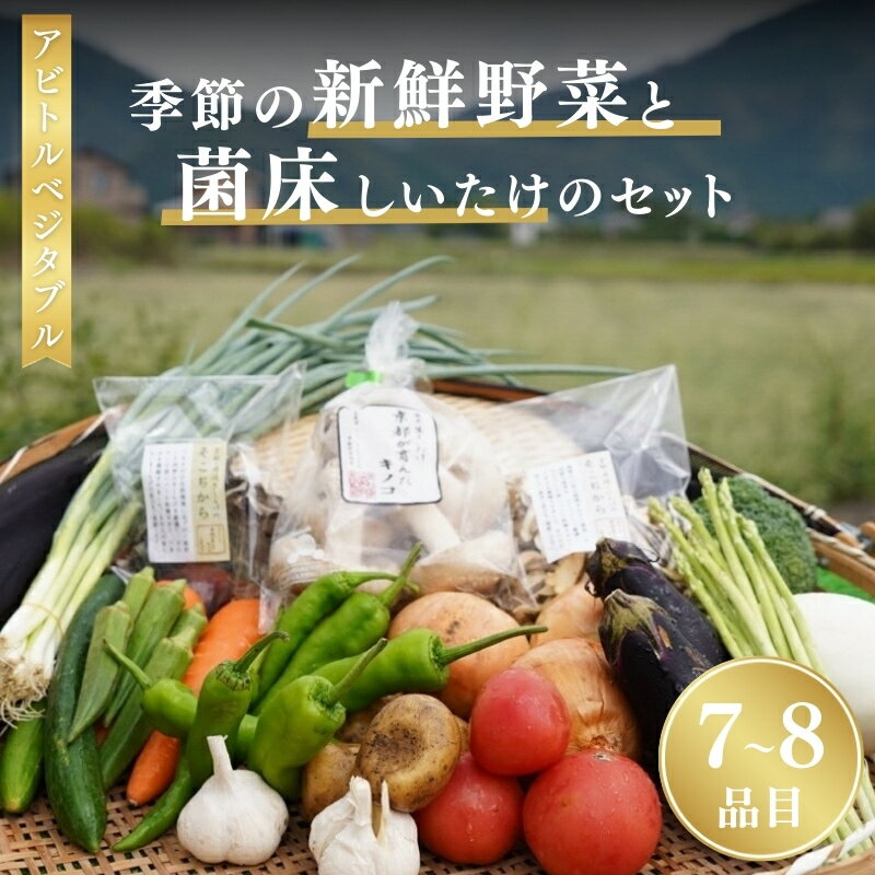 季節の新鮮野菜と菌床しいたけのセット アビトルベジタブル　野菜 詰め合わせ 旬 新鮮 京都府 南丹市