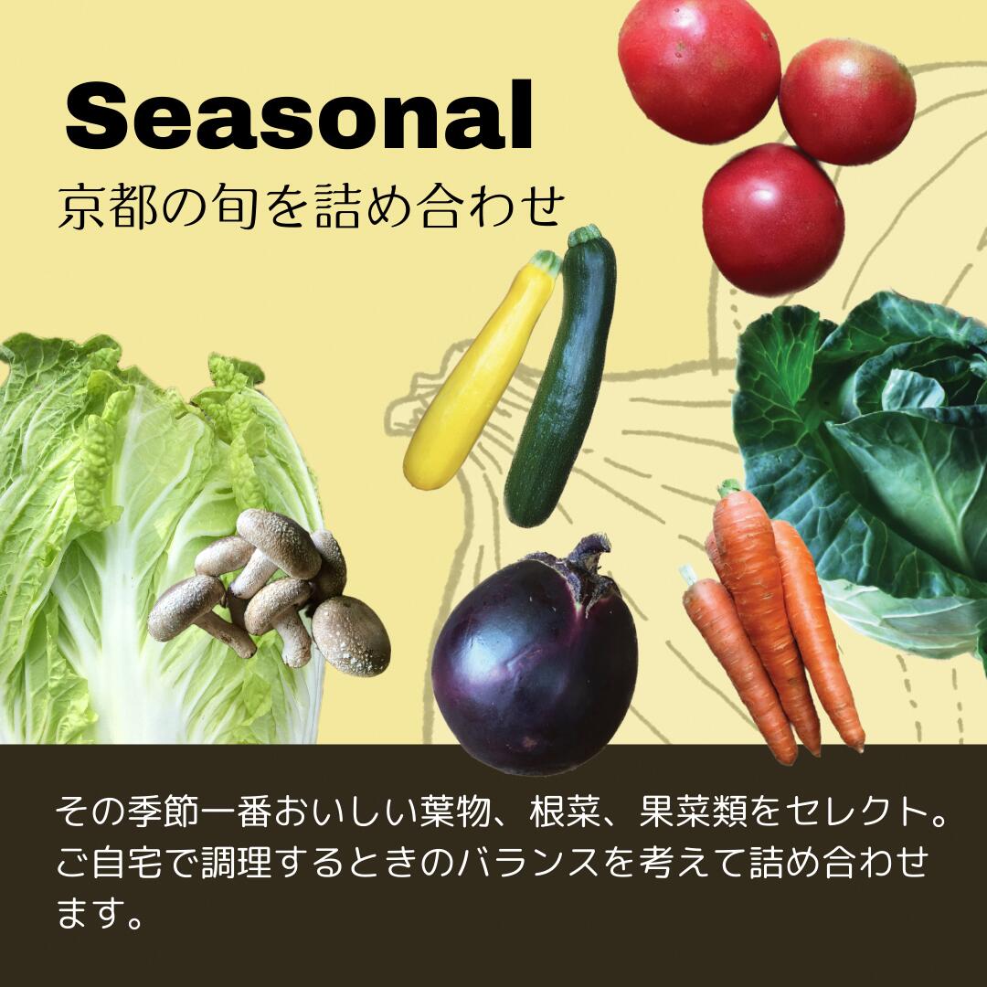 【ふるさと納税】Nantan Sustainable Selection 野菜と農家の加工品セット【10回定期便】　お届け：2026年5月以降発送開始 - 画像3
