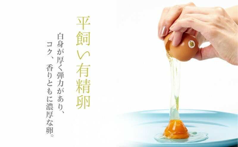 【ふるさと納税】うちゅうの夜明け 燻製たまご 6個 マヨネーズセット　卵 燻製 調味料 マヨネーズ 有精卵 米酢使用 京都府 南丹市【※3月15日以降発送】　お届け：2025年3月中旬～11月下旬まで サムネイル3