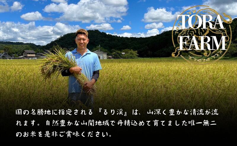【ふるさと納税】令和7年産 京都丹波産キヌヒカリ 10kg　米 ごはん きぬひかり - 画像3