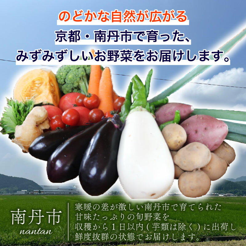 【ふるさと納税】【選べる定期便】野菜セット 平飼い卵6個入り 定期便1回 3回 6回 12回 京都 旬野菜 ネラ 大福たまご 平飼い卵 - 画像3