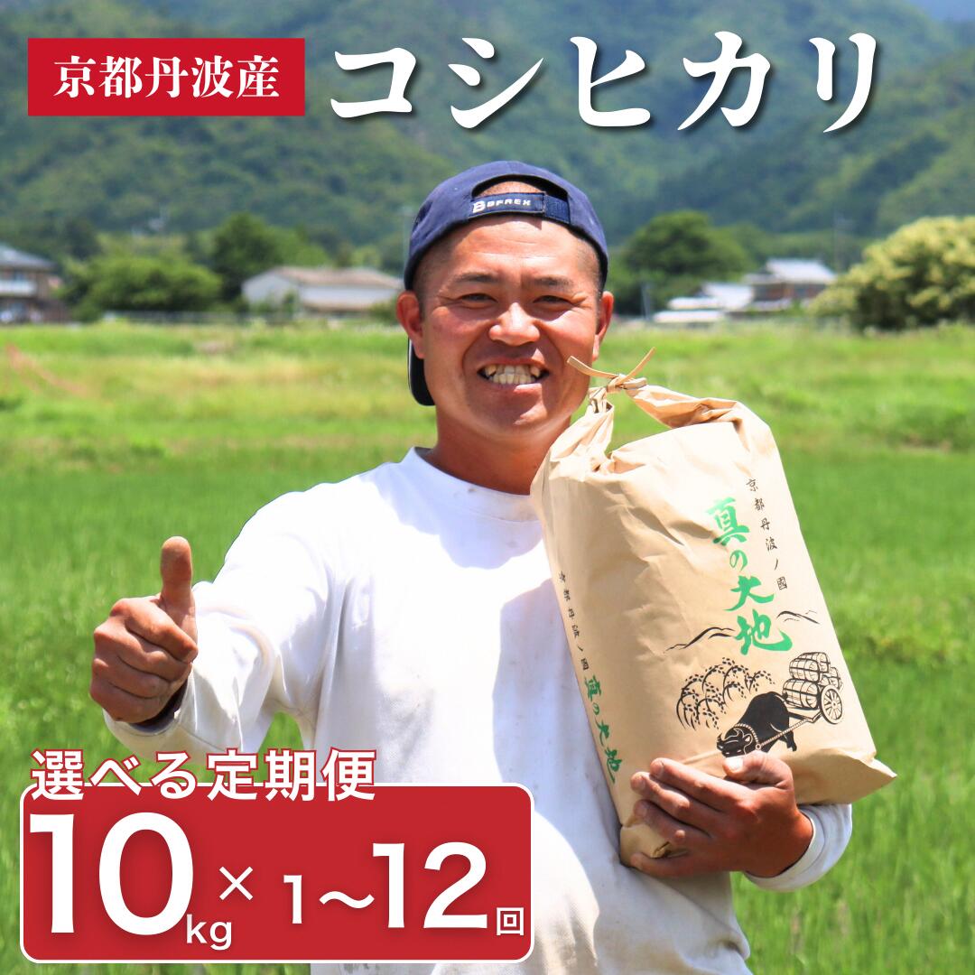 【ふるさと納税】【選べる回数】令和7年産 京都丹波産 コシヒカリ 10kg 京都 丹波 お米 産地直送 定期便 1～12回　お届け：入金確認後、約2週間～1ヶ月ほどでお届け※定期便に関しては、寄付の翌月より毎月1っ回のお届け。 - 画像2