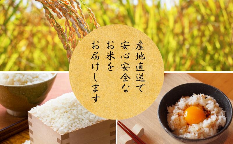 【ふるさと納税】【選べる回数】令和7年産 京都丹波産 コシヒカリ 10kg 京都 丹波 お米 産地直送 定期便 1～12回　お届け：入金確認後、約2週間～1ヶ月ほどでお届け※定期便に関しては、寄付の翌月より毎月1っ回のお届け。 - 画像3